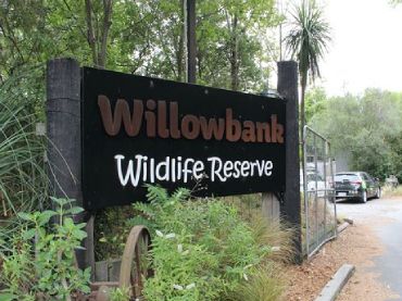 Willowbank Wildlife Reserve