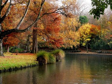 Hagley Park